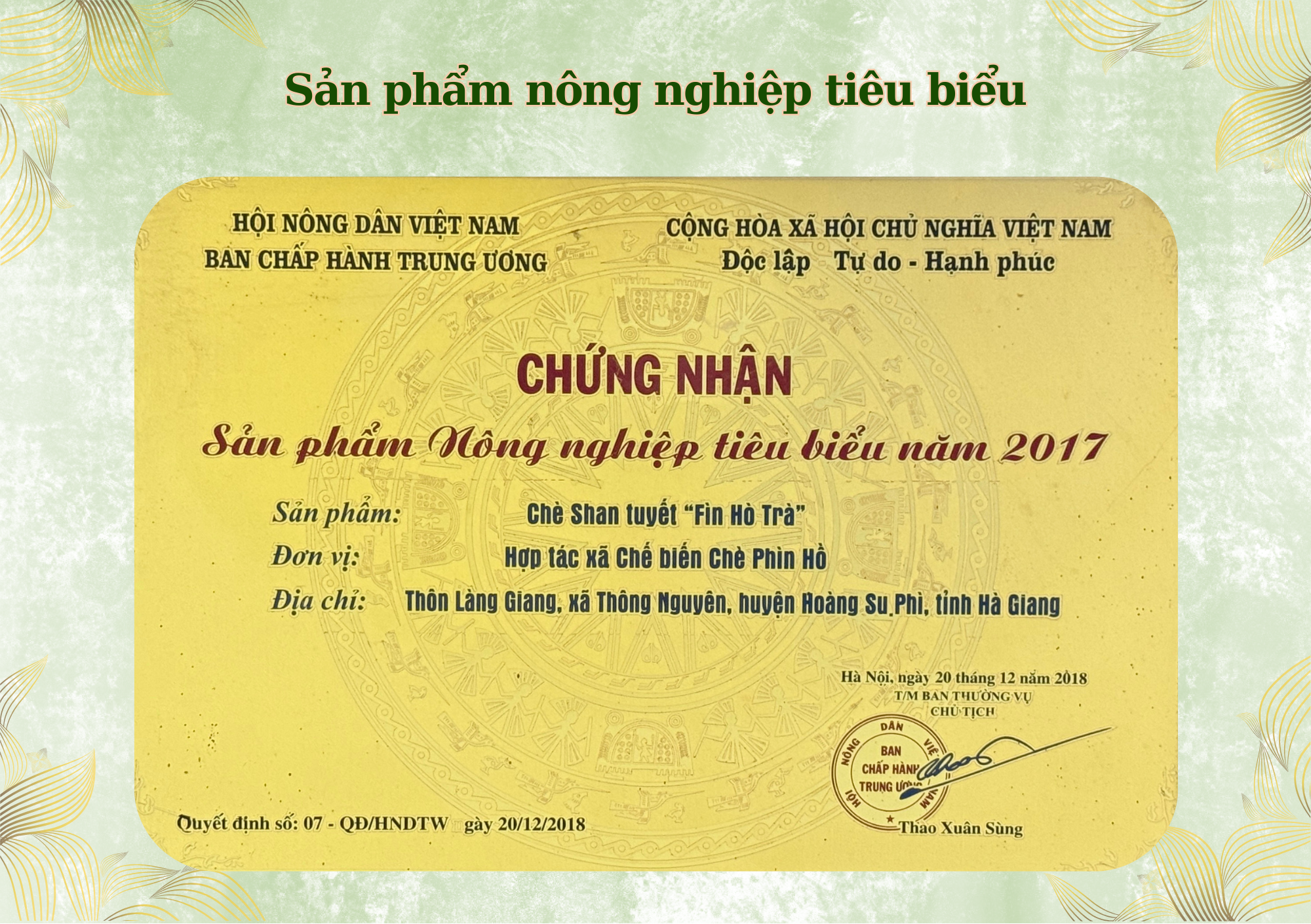 Trà Shan Tuyết Fìn Hò Đạt Nhiều Bằng Khen Của Thủ Tướng Chính Phủ, Bộ Nông Nghiệp Và Giành Nhiều Giải Thưởng Danh Giá