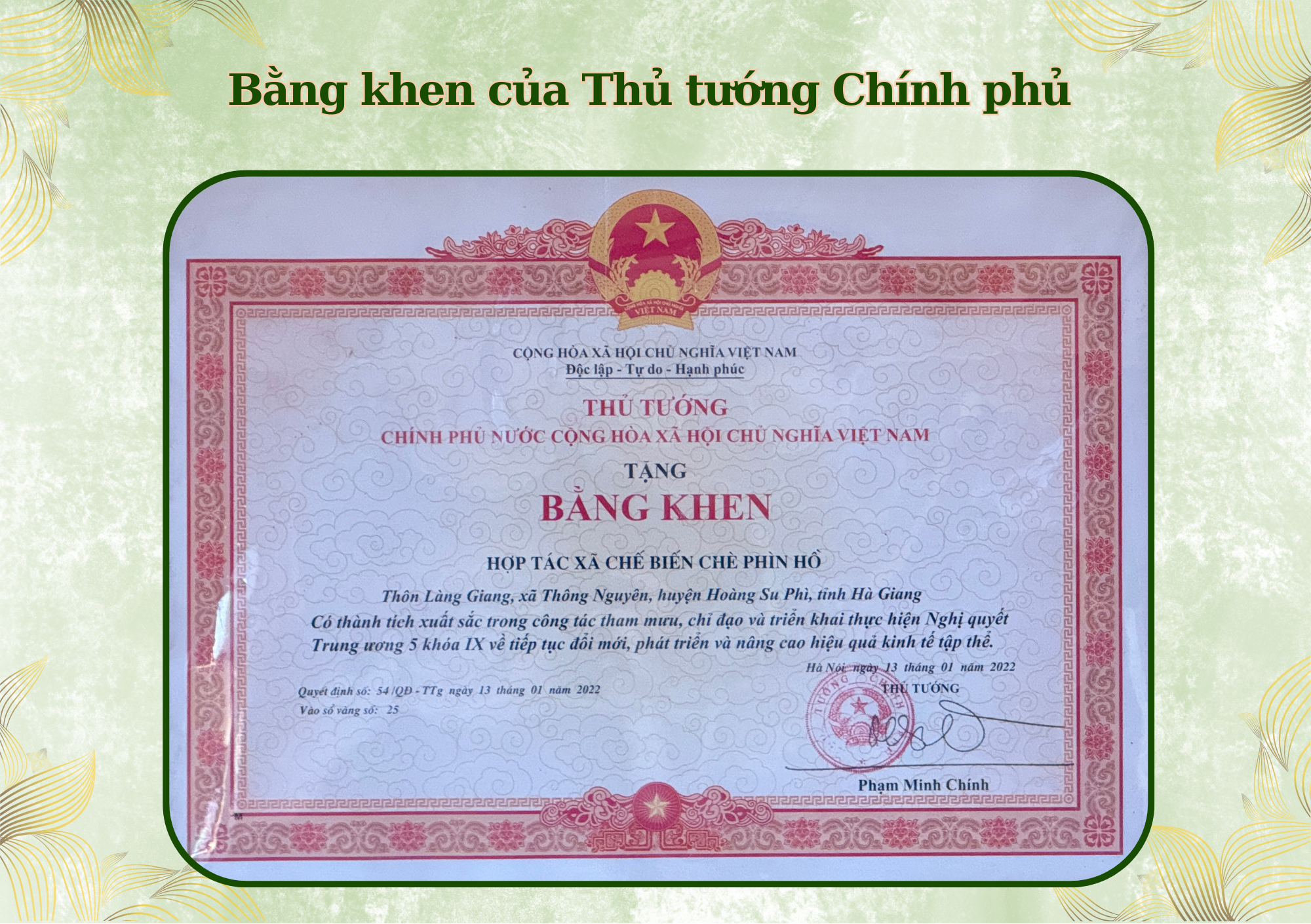 Trà Shan Tuyết Fìn Hò Đạt Nhiều Bằng Khen Của Thủ Tướng Chính Phủ, Bộ Nông Nghiệp Và Giành Nhiều Giải Thưởng Danh Giá