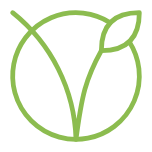 vegan 2