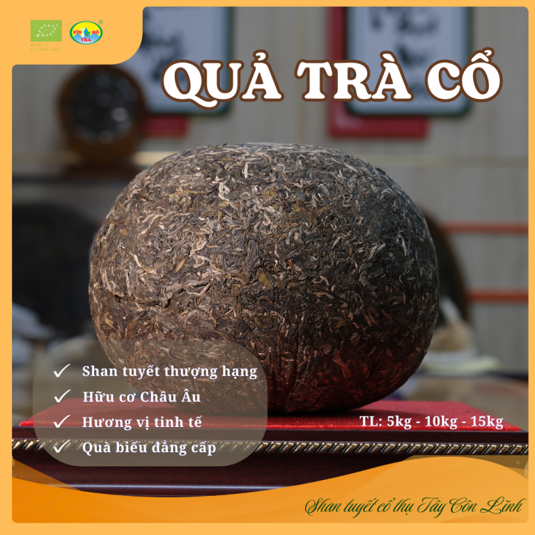 Quả Trà Cổ 15kg - Trà lên men sống