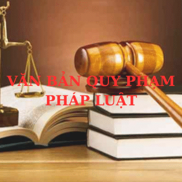Anh vbqppl dang web