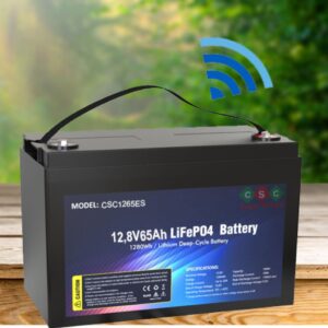 ac quy lithium 12v 65ah