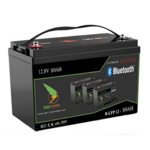 ac quy lithium 12v 80ah 1