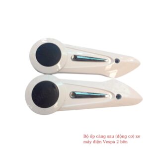 Bộ ốp càng sau (động cơ) xe máy điện Vespa 2 bên 6 Bo op cang sau dong co xe may dien Vespa 1