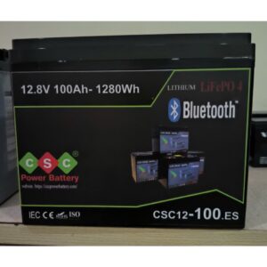 pin lithium 12v100ah 3