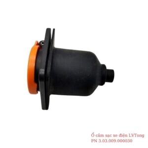 o cam sac xe lvtong 1