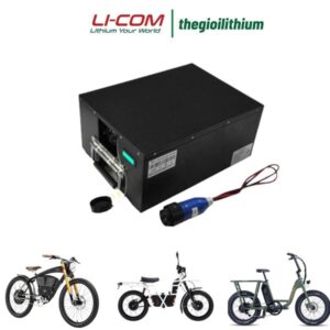Pin lithium 48V 60Ah cho xe đạp điện, xe máy điện CTS-4860
