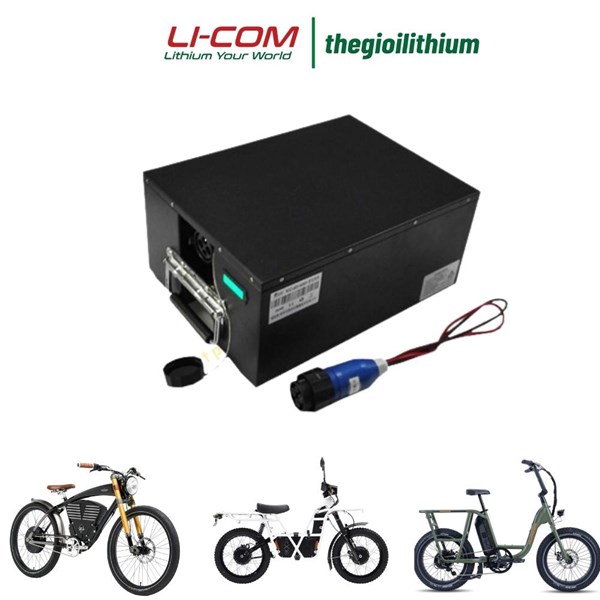 Pin lithium 48V 60Ah cho xe đạp điện, xe máy điện CTS-4860 1 Pin lithium 48V 60Ah cho xe đạp điện, xe máy điện CTS-4860