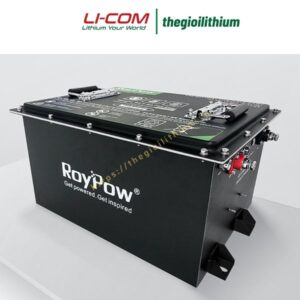Pin Lithium cho xe golf, xe điện du lịch 48V 105Ah S51105 hãng RoyPow