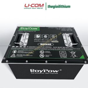 Pin Lithium cho xe golf, xe điện du lịch 48V 105Ah S51105P hãng RoyPow