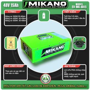 Pin lithium xe đạp điện 48V 15Ah 18 anh thong so