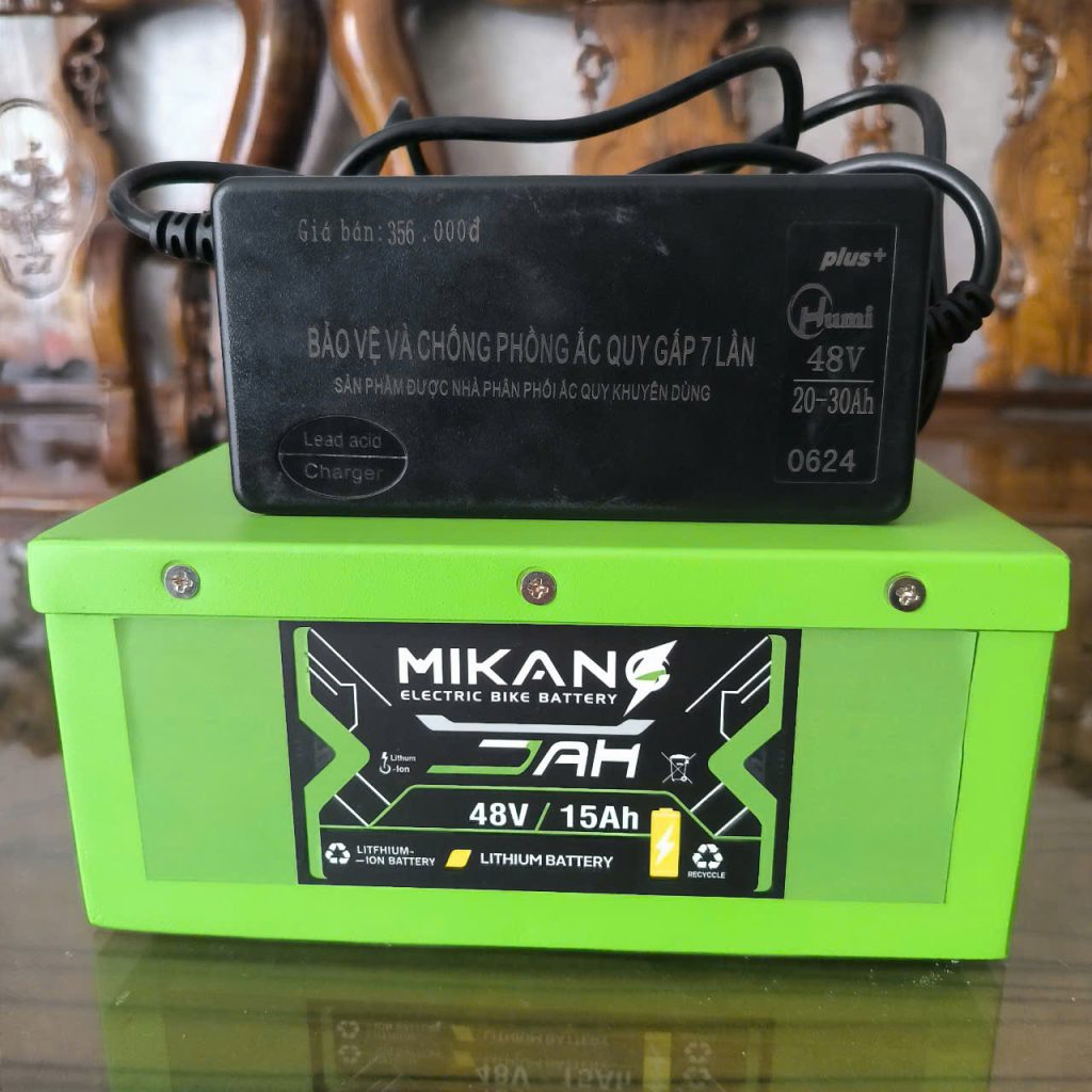 Pin lithium xe đạp điện 48V 15Ah 24 lithium 48v 15ah 2
