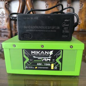 Pin lithium xe đạp điện 48V 15Ah