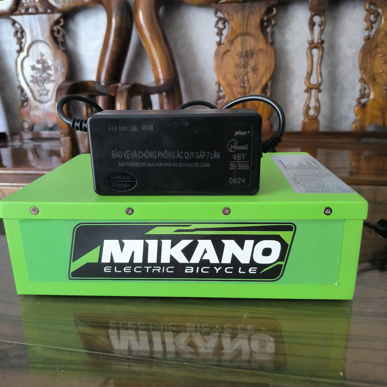 Pin lithium xe đạp điện 48V 15Ah 5 Pin lithium xe đạp điện 48V 15Ah - Ảnh 5