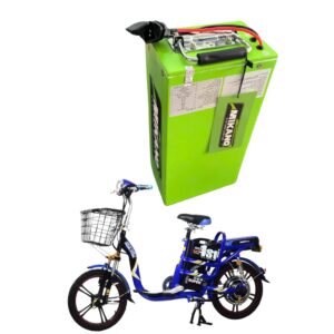 Pin lithium xe điện kiểu đứng 48V 15Ah