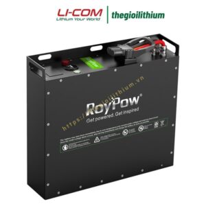 Pin lithium cho xe nâng của RoyPow 24V 100Ah F24100