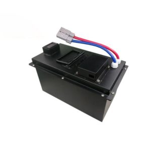 pin lithium xe nang dien cts4820 1 2