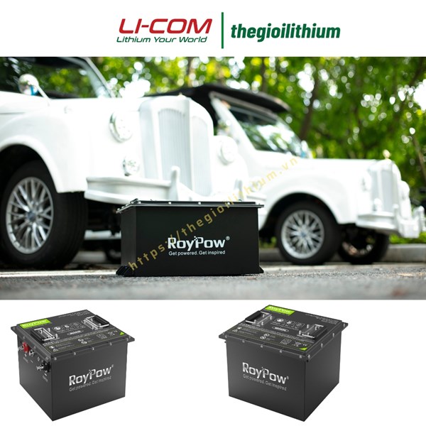 pin lithium xe golf roypow s38105 3
