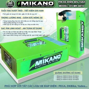 pin xe dien 48v 15ah 1