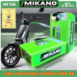 pin xe dien 48v 15ah 4