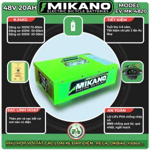 Pin lithium xe điện 48V 20Ah 11 pin xe dien 48v 20ah 1