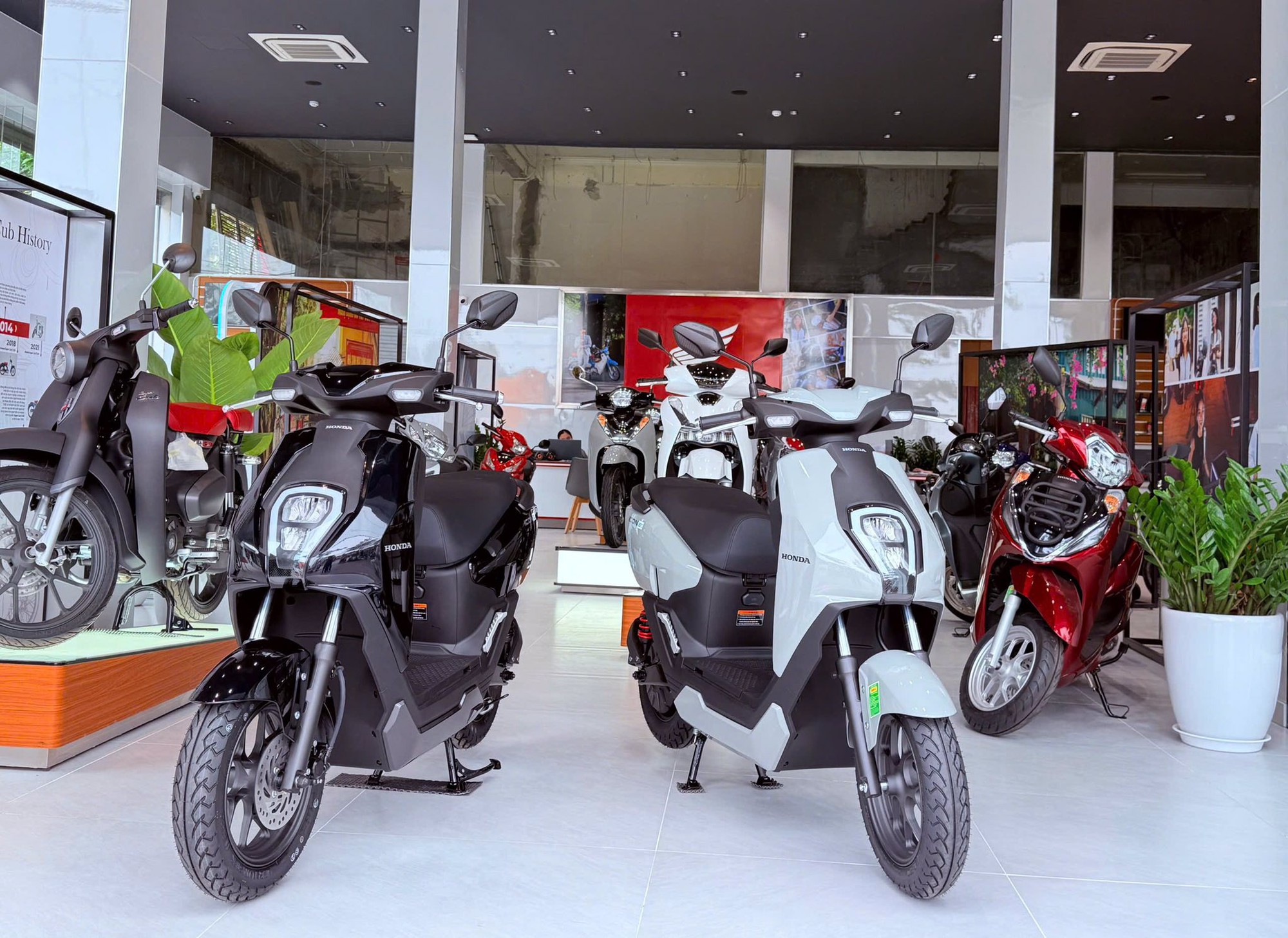 honda icone