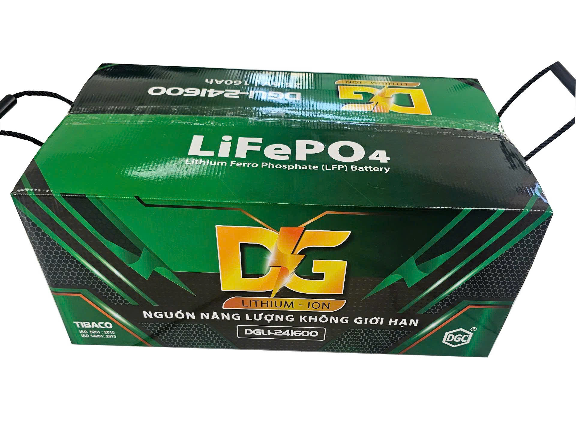 pin lithium xe tai dgli 241600