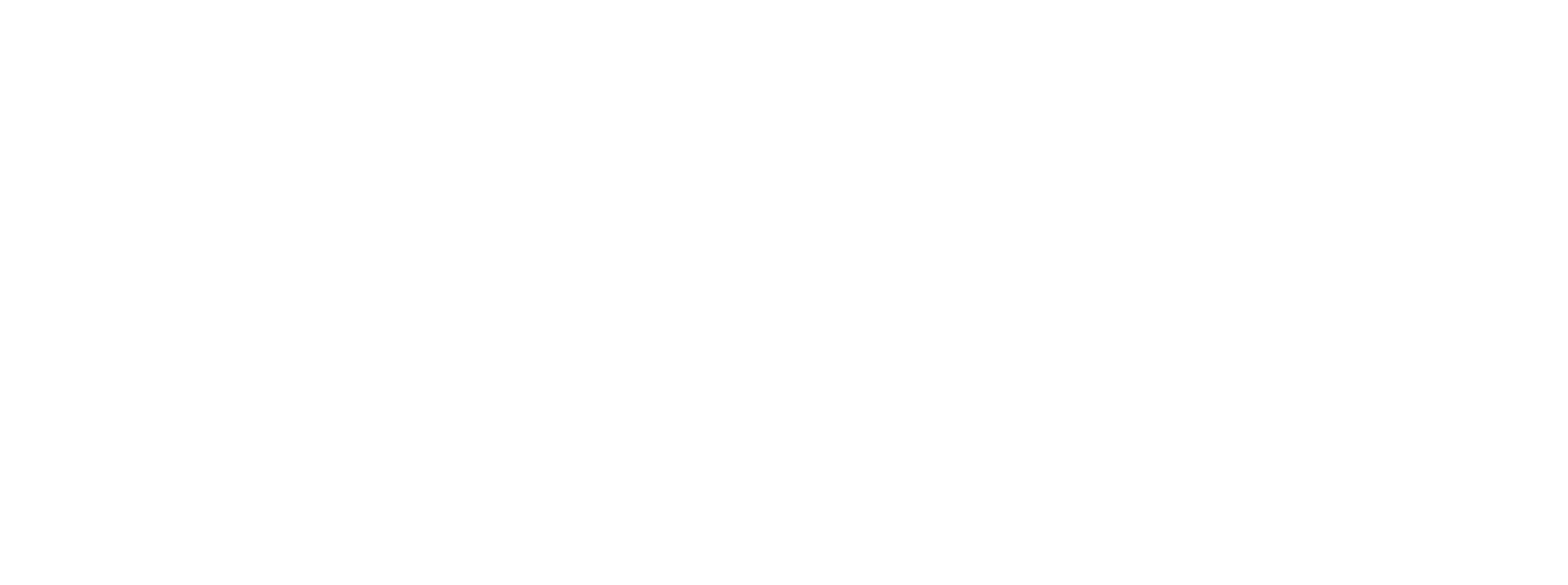 logo tsk white scaled
