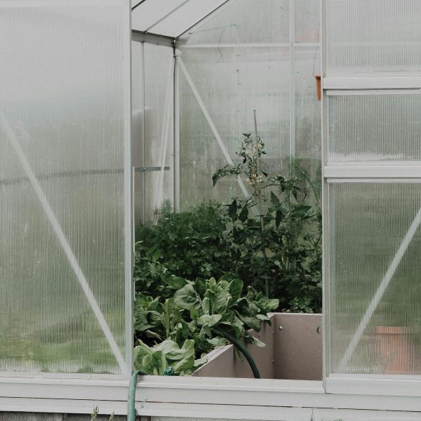 Alternative view of PC hollow roof sheet