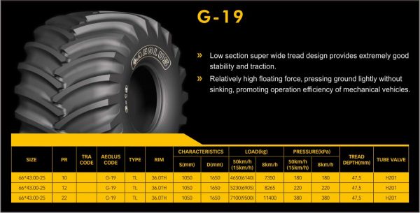 G-19