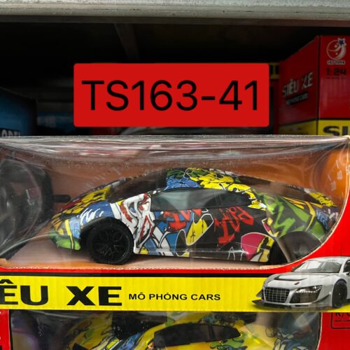 Xe điều khiển TS163-41
