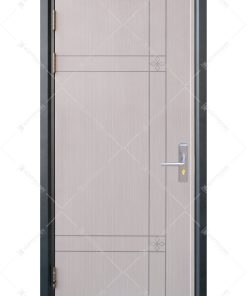 Cửa thép vân gỗ Deluxe KD-1.07