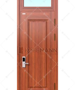 Cửa thép vân gỗ KG-1.31-1TK