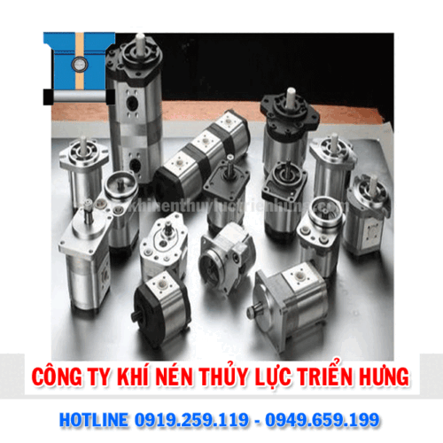 BƠM BÁNH RĂNG HDX