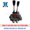 VAN GAT TAY CÓ CHỈNH ÁP SAINFFON - 2 TAY