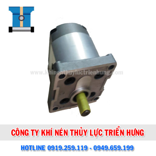 Bơm bánh răng HGP 1A