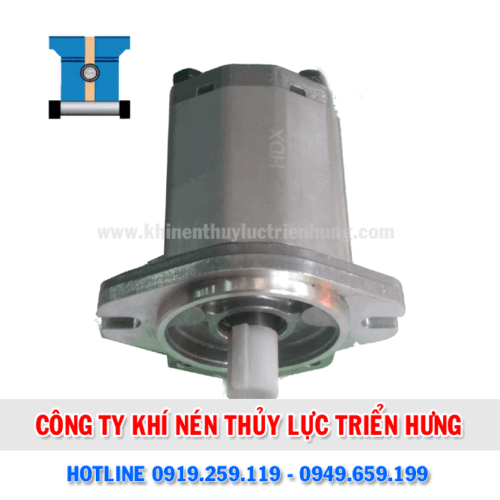 BƠM BÁNH RĂNG HDX