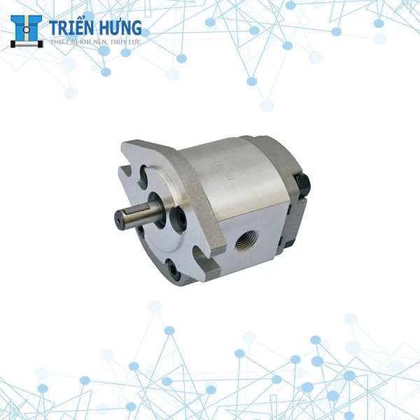 Bơm bánh răng thủy lực HGP-1A nhỏ gọn ổn định
