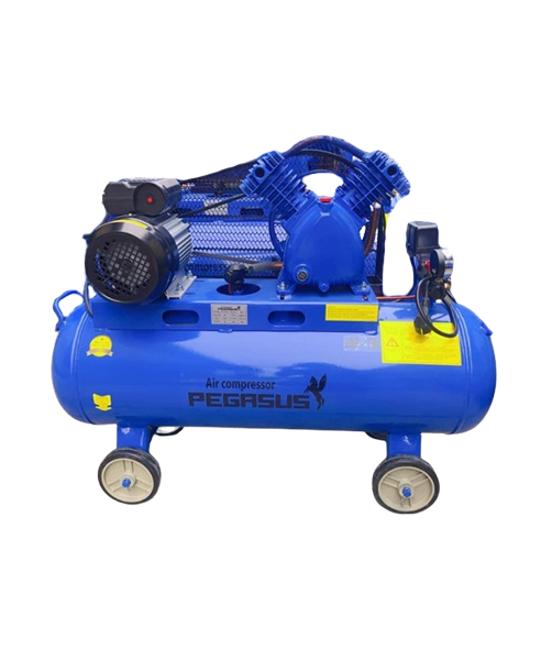 Máy nén khí dây đai Pegasus TM-V-0.17/8-70L