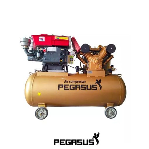 Máy nén khí đầu nổ chạy dầu Diesel 15hp áp 8kg TM-W-1.6/8-500L