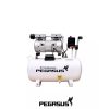 Máy nén khí không dầu Pegasus TM-OF550-25L 2 MAY NEN KHI KHONG DAUGIAM AM PEGASUS TM OF550 25L