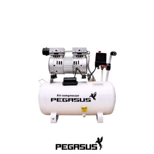 Máy nén khí không dầu Pegasus TM-OF550-25L