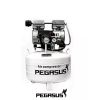 Máy nén khí không dầu Pegasus TM-OF550-40L 2 MAY NEN KHI KHONG DAUGIAM AM PEGASUS TM OF550 50L