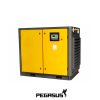 Máy nén khí trục vít Pegasus TMPM-100HP 2 MAY NEN KHI TRUC VIT TMPM20A AP 12BAR
