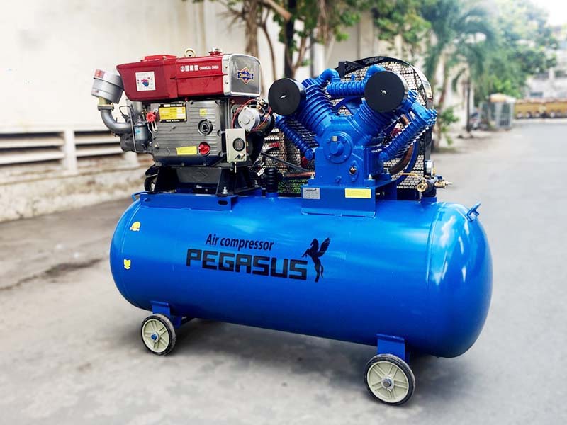 Máy nén khí đầu nổ pegasus