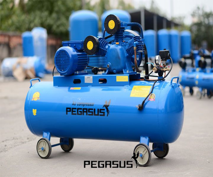 Linh kiện máy nén khí Pegasus