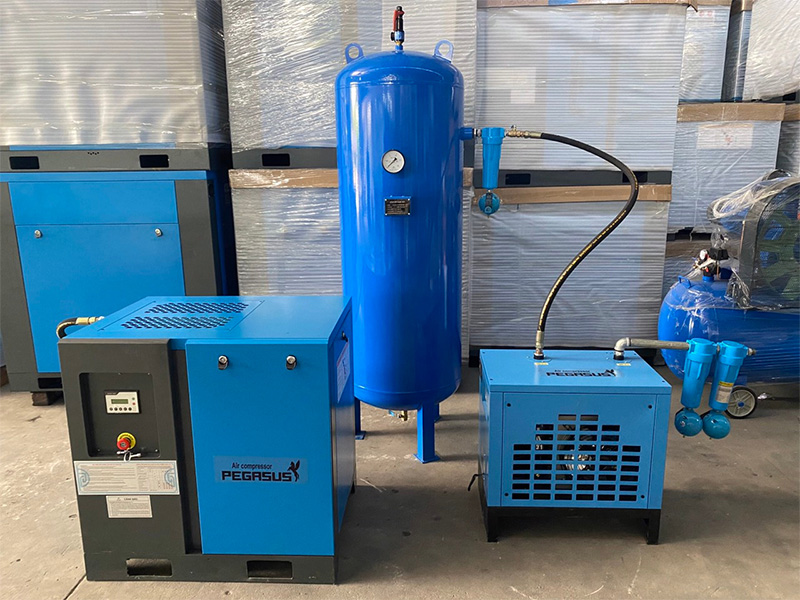 Máy nén khí trục vít pegasus
