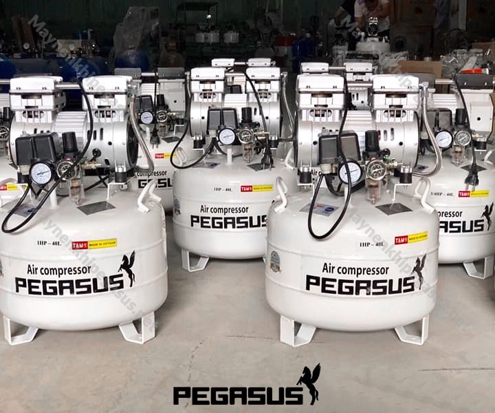 Đánh giá ưu và nhược điểm máy nén khí Đài loan 10hp 1 may nen khi khong dau pegasusTM OF550 40L 3