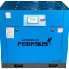 Máy nén khí trục vít Pegasus TMPM10HP áp 12Bar 3 may nen khi truc vit bien tan pegasus tmbt20a nd
