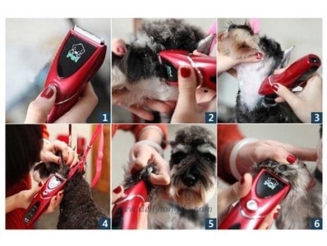 Hướng dẫn cắt tỉa lông thú cưng bằng tông đơ 3 - a3